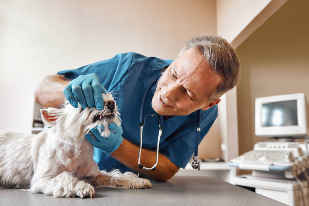 Best Broken or Cracked Tooth Emergency Dentist in Groesbeck, TX